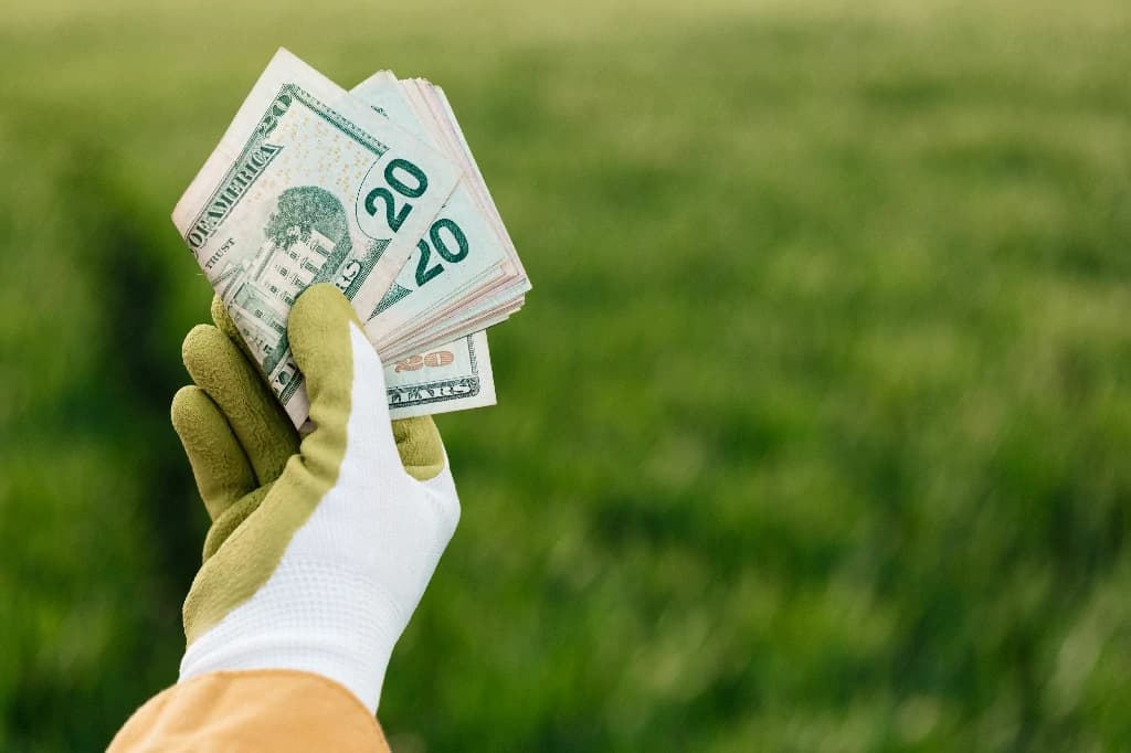 Ngân sách 20 triệu: các lựa chọn đáng giá