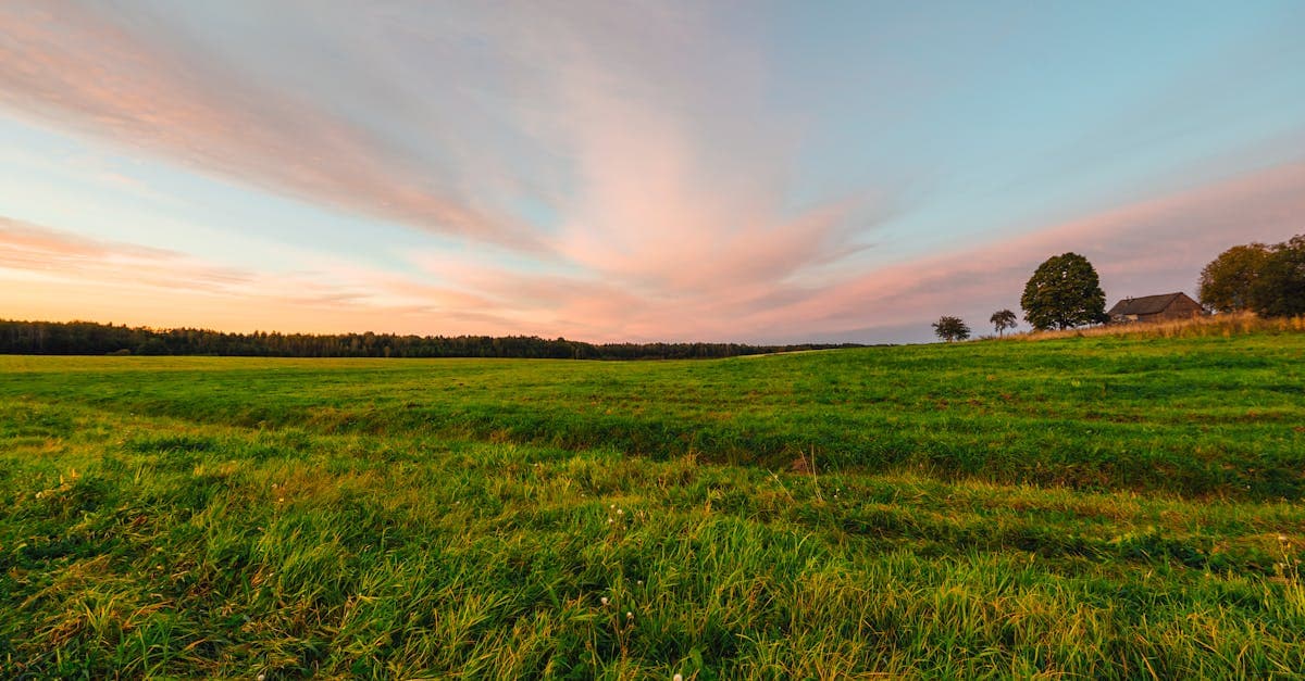Ảnh Belarus