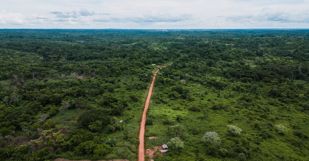 Ảnh Cameroon
