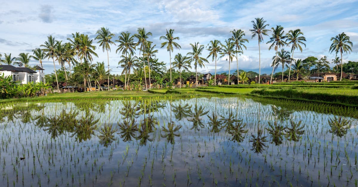 eSIM Bali Indonesia: Telkomsel phủ 99% đảo, gói nào hợp lý