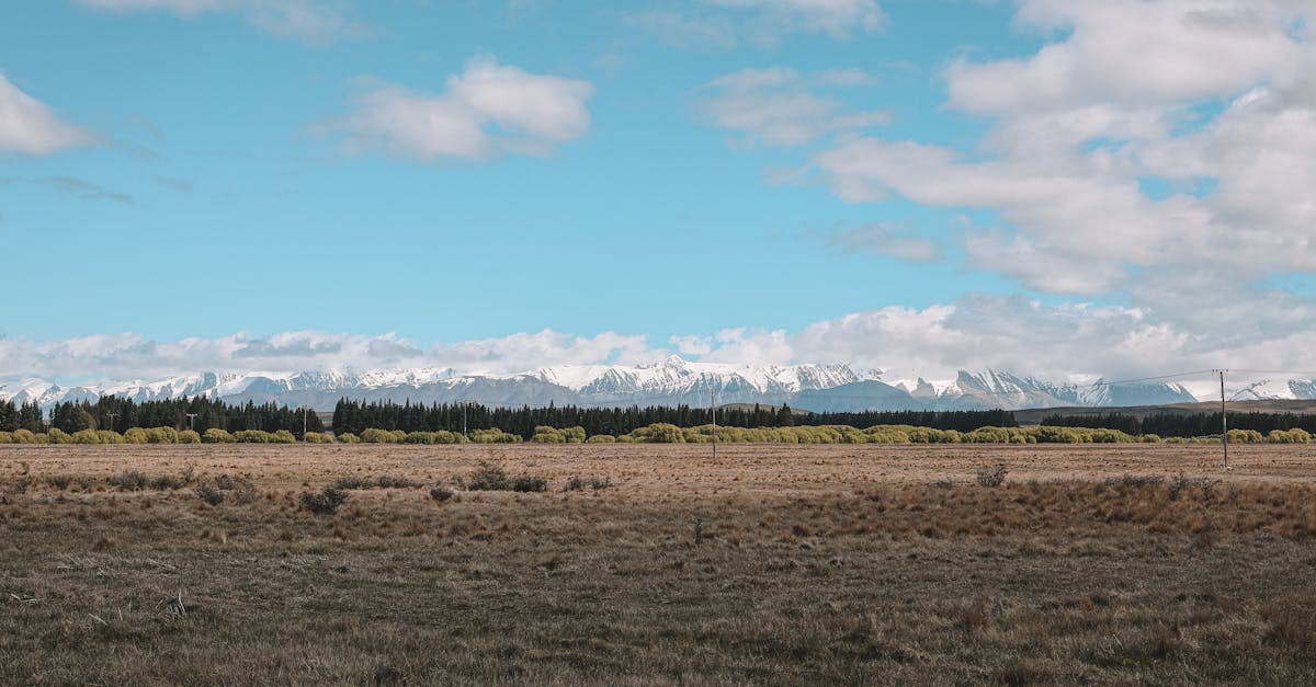 Ảnh New Zealand