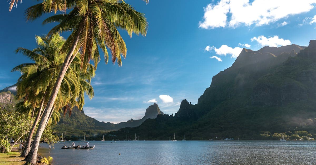 Ảnh Polynesia thuộc Pháp