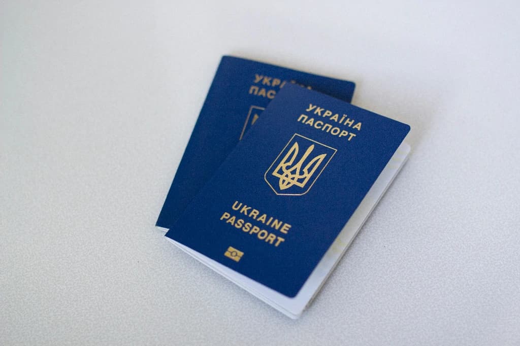 E-visa là gì? Các nước cấp e-visa cho người Việt
